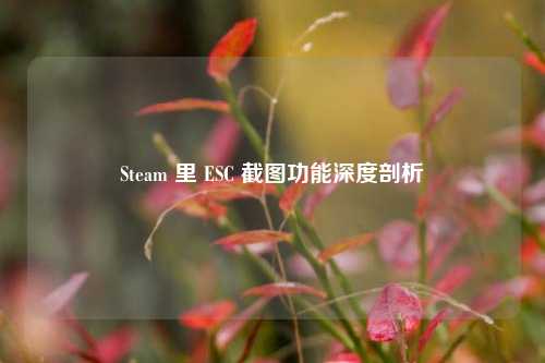 Steam 里 ESC 截图功能深度剖析