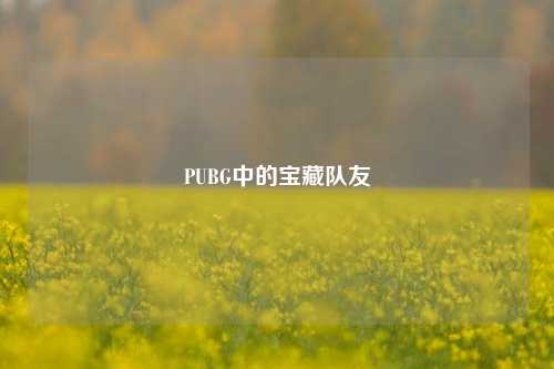 PUBG中的宝藏队友
