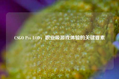 CSGO Pro LOD，职业级游戏体验的关键要素