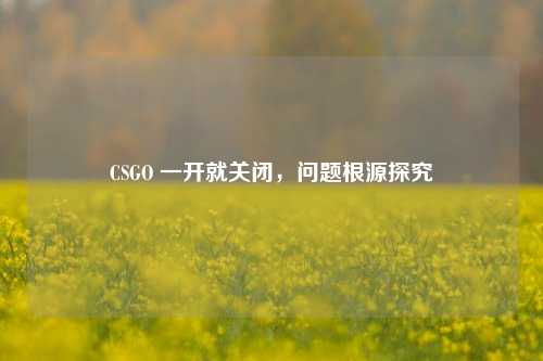 CSGO 一开就关闭，问题根源探究