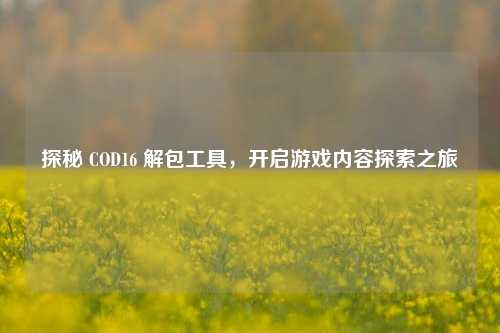 探秘 COD16 解包工具，开启游戏内容探索之旅