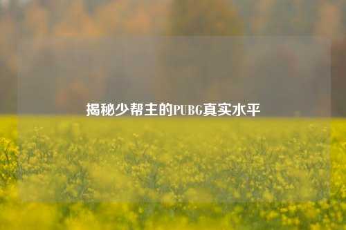 揭秘少帮主的PUBG真实水平