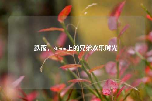 跌落，Steam上的兄弟欢乐时光