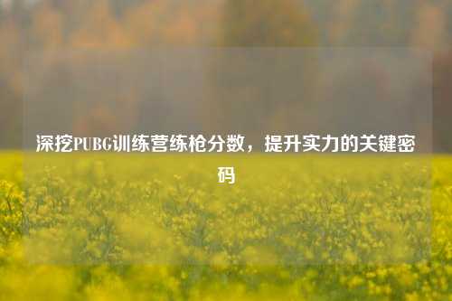 深挖PUBG训练营练枪分数，提升实力的关键密码