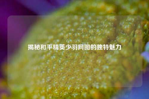 揭秘和平精英少羽网图的独特魅力