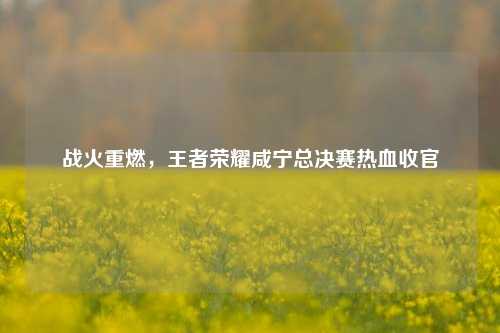 战火重燃，王者荣耀咸宁总决赛热血收官