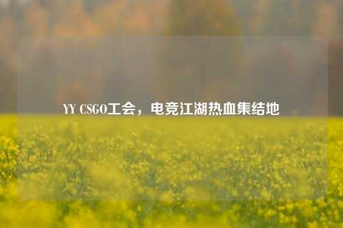 YY CSGO工会，电竞江湖热血集结地