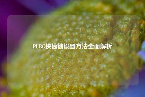 PUBG快捷键设置方法全面解析