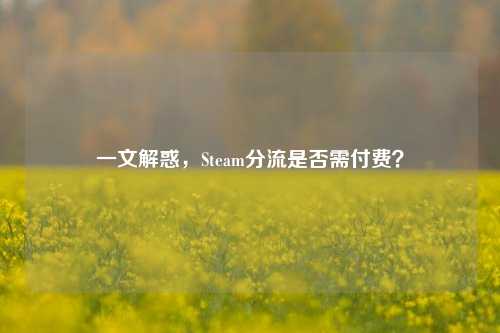 一文解惑，Steam分流是否需付费？