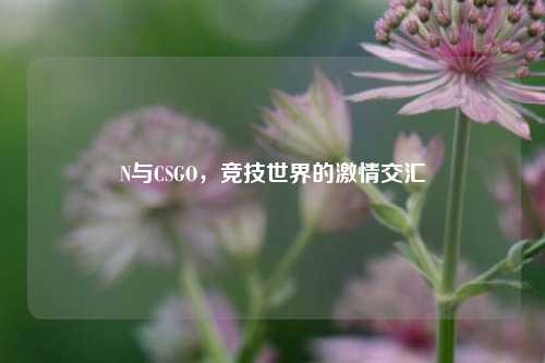 N与CSGO，竞技世界的激情交汇