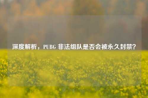 深度解析，PUBG 非法组队是否会被永久封禁？