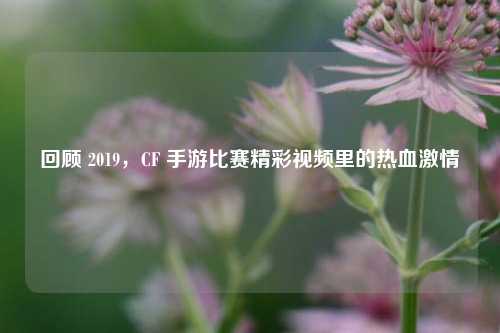 回顾 2019，CF 手游比赛精彩视频里的热血激情