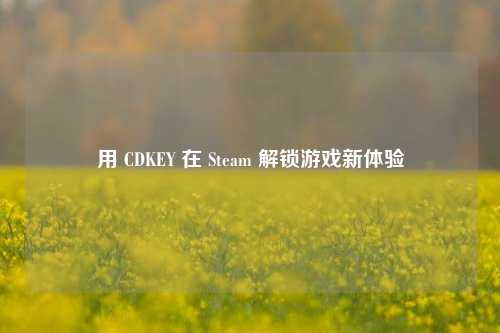 用 CDKEY 在 Steam 解锁游戏新体验