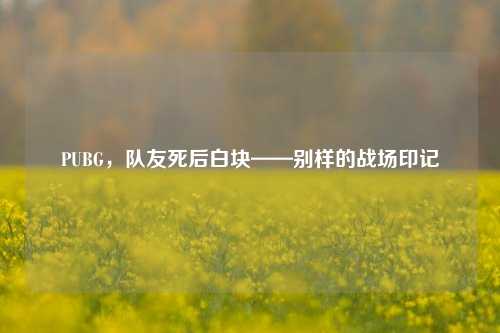 PUBG，队友死后白块——别样的战场印记
