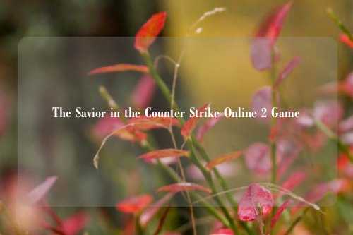 The Savior in the Counter Strike Online 2 Game