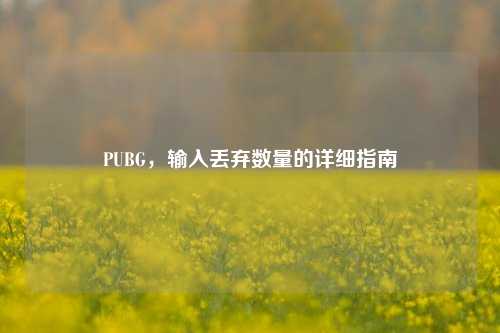 PUBG，输入丢弃数量的详细指南