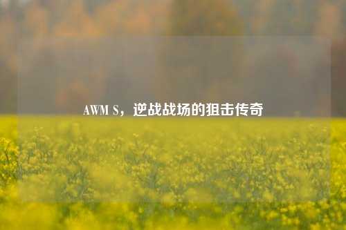 AWM S，逆战战场的狙击传奇