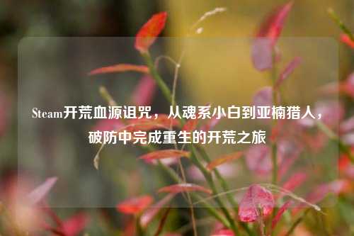 Steam开荒血源诅咒,从魂系小白到亚楠猎人,破防中完成重生的开荒之旅