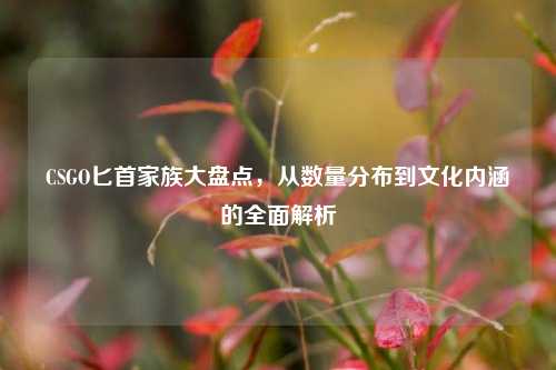 CSGO匕首家族大盘点,从数量分布到文化内涵的全面解析