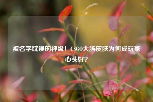 被名字耽误的神级!CSGO大肠皮肤为何成玩家心头好?