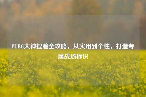 PUBG大神捏脸全攻略,从实用到个性,打造专属战场标识
