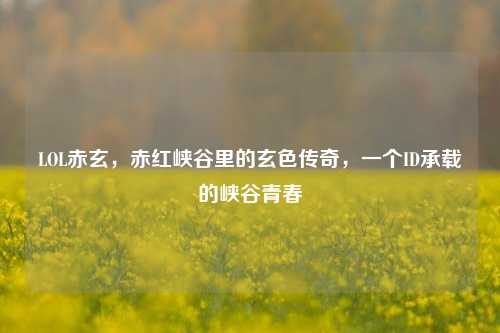 LOL赤玄，赤红峡谷里的玄色传奇，一个ID承载的峡谷青春