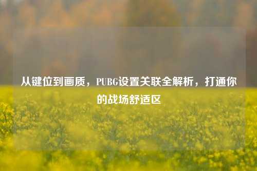 从键位到画质,PUBG设置关联全解析,打通你的战场舒适区