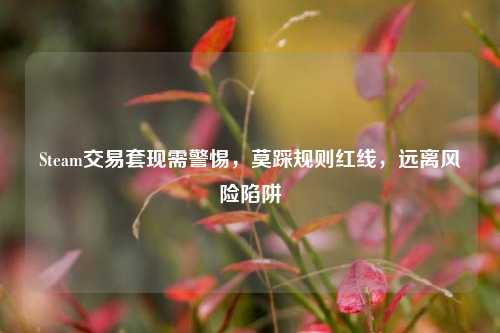 Steam交易套现需警惕，莫踩规则红线，远离风险陷阱