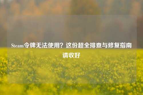 Steam令牌无法使用？这份超全排查与修复指南请收好