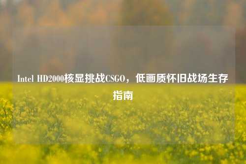 Intel HD2000核显挑战CSGO,低画质怀旧战场生存指南