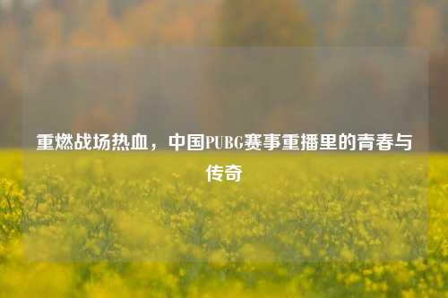 重燃战场热血,中国PUBG赛事重播里的青春与传奇