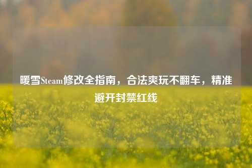 暖雪Steam修改全指南，合法爽玩不翻车，精准避开封禁红线