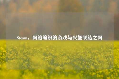 Steam， *** 编织的游戏与兴趣联结之网
