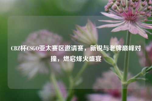 CBZ杯CSGO亚太赛区邀请赛,新锐与老牌巅峰对撞,燃启烽火盛宴