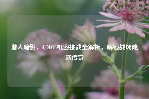 潜入暗影，COD16机密挑战全解析，解锁战场隐藏传奇