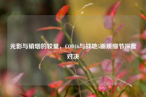 光影与硝烟的较量，COD16与战地5画质细节深度对决