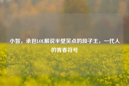 小智，承包LOL解说半壁笑点的段子王，一代人的青春符号