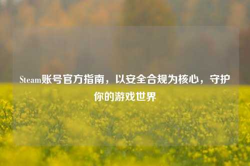 Steam账号官方指南，以安全合规为核心，守护你的游戏世界