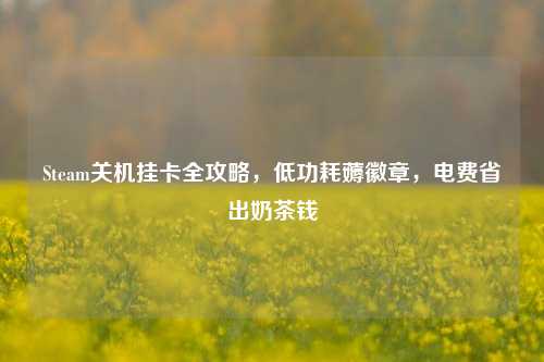 Steam关机挂卡全攻略，低功耗薅徽章，电费省出奶茶钱