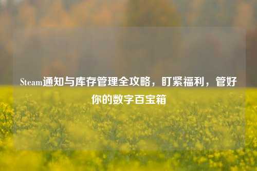 Steam通知与库存管理全攻略，盯紧福利，管好你的数字百宝箱