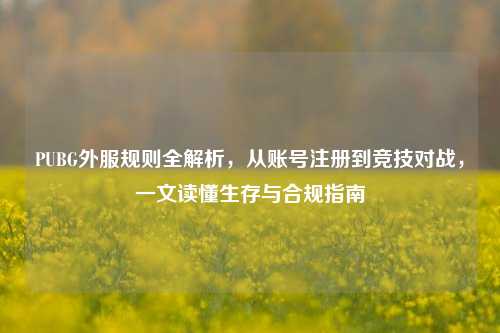PUBG外服规则全解析，从账号注册到竞技对战，一文读懂生存与合规指南