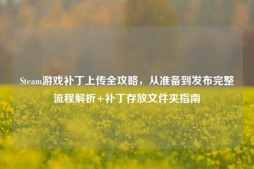 Steam游戏补丁上传全攻略,从准备到发布完整流程解析+补丁存放文件夹指南
