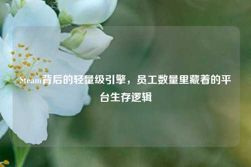 Steam背后的轻量级引擎，员工数量里藏着的平台生存逻辑