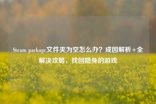 Steam package文件夹为空怎么办?成因解析+全解决攻略,找回隐身的游戏