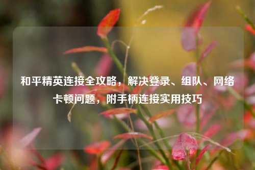 和平精英连接全攻略，解决登录、组队、     卡顿问题，附手柄连接实用技巧