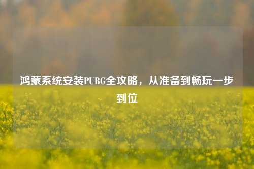 鸿蒙系统安装PUBG全攻略,从准备到畅玩一步到位
