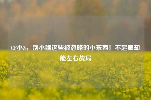 CF小Z,别小瞧这些被忽略的小东西!不起眼却能左右战局