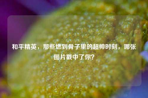 和平精英,那些燃到骨子里的超帅时刻,哪张图片戳中了你?