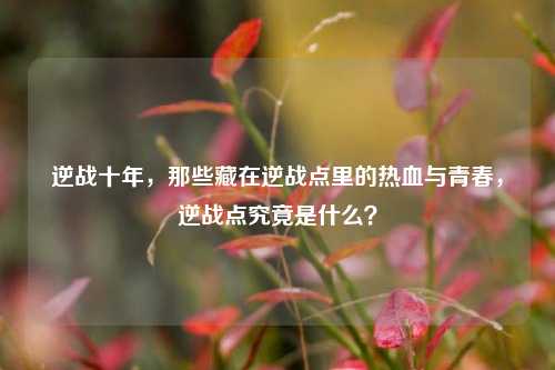 逆战十年，那些藏在逆战点里的热血与青春，逆战点究竟是什么？