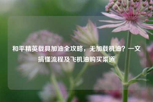 和平精英载具加油全攻略,无加载机油?一文搞懂流程及飞机油购买渠道